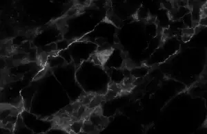 Black marble with white veining.